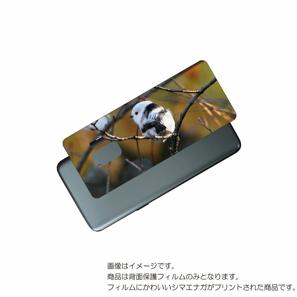 Galaxy S9 ( SC-02K / SCV38 ) 用 背面 保護 フィルム かわいい シマエナガ の プリント ( Photo by 小原玲 ) ★ S...