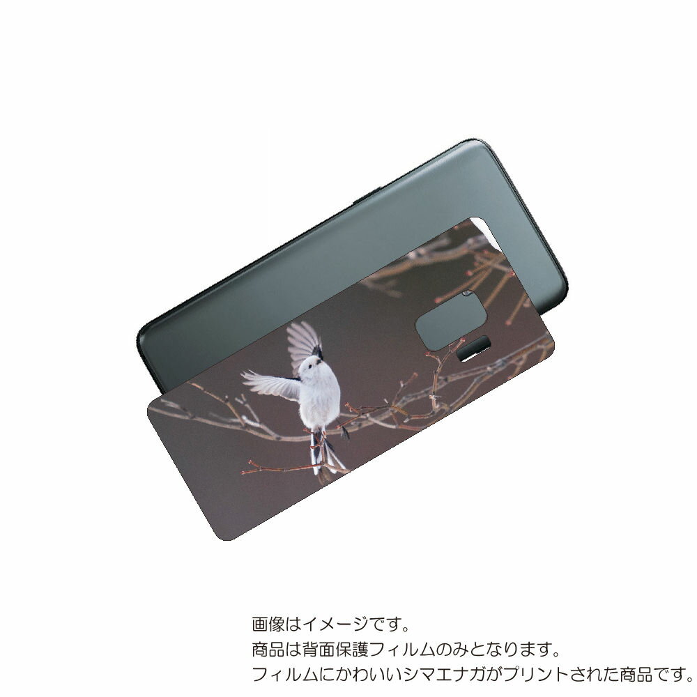 Galaxy S9 ( SC-02K / SCV38 ) 用 背面 保護 フィルム かわいい シマエナガ の プリント ( Photo by 小原玲 ) ★ S...