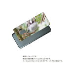 Galaxy S9 ( SC-02K / SCV38 ) 用 背面 保護 フィルム かわいい シマエナガ の プリント ( Photo by 小原玲 ) ★ S...