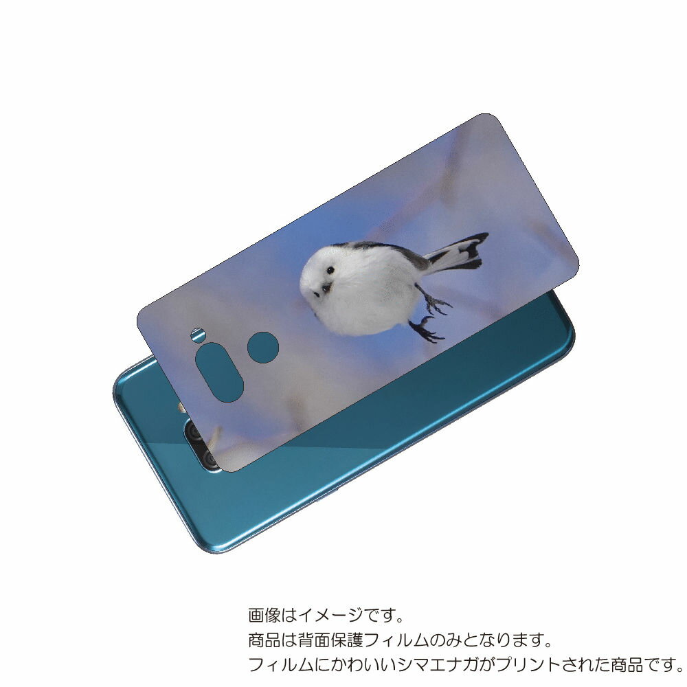 LG K50 ( 802LG ) 用 背面 保護 フィルム かわいい シマエナガ の プリント ( Photo by 小原玲 ) ★ エルジー ケー フィフティ...