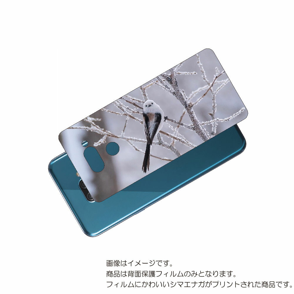 LG K50 ( 802LG ) 用 背面 保護 フィルム かわいい シマエナガ の プリント ( Photo by 小原玲 ) ★ エルジー ケー フィフティ...