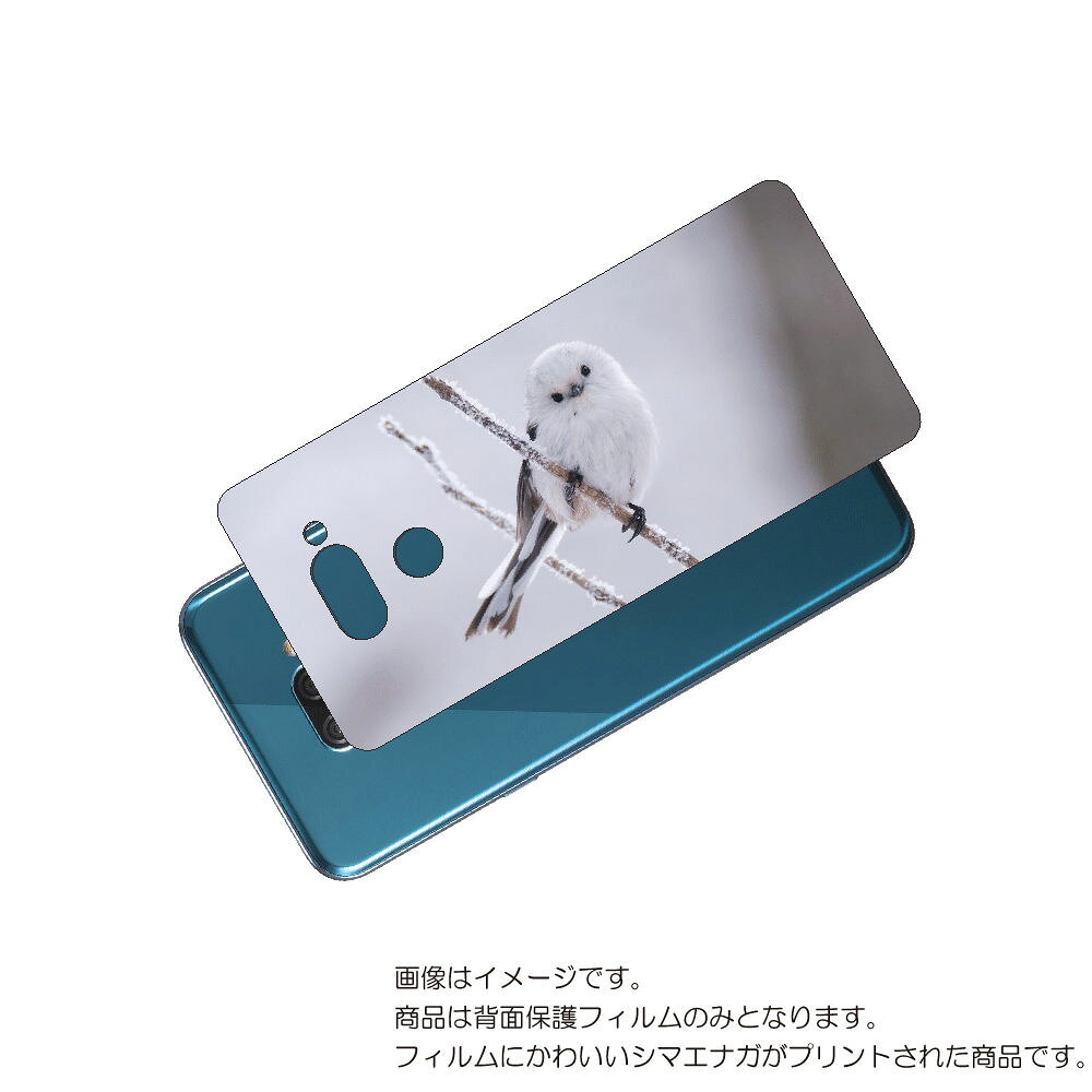 LG K50 ( 802LG ) 用 背面 保護 フィルム かわいい シマエナガ の プリント ( Photo by 小原玲 ) ★ エルジー ケー フィフティ...