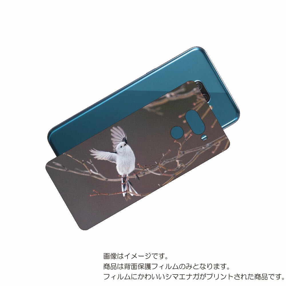 LG K50 ( 802LG ) 用 背面 保護 フィルム かわいい シマエナガ の プリント ( Photo by 小原玲 ) ★ エルジー ケー フィフティ...