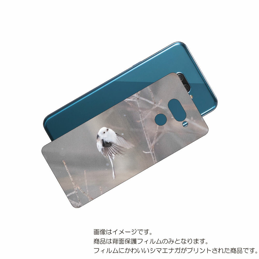 LG K50 ( 802LG ) 用 背面 保護 フィルム かわいい シマエナガ の プリント ( Photo by 小原玲 ) ★ エルジー ケー フィフティ...