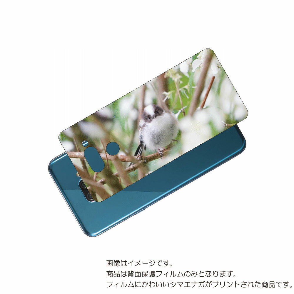 LG K50 ( 802LG ) 用 背面 保護 フィルム かわいい シマエナガ の プリント ( Photo by 小原玲 ) ★ エルジー ケー フィフティ...