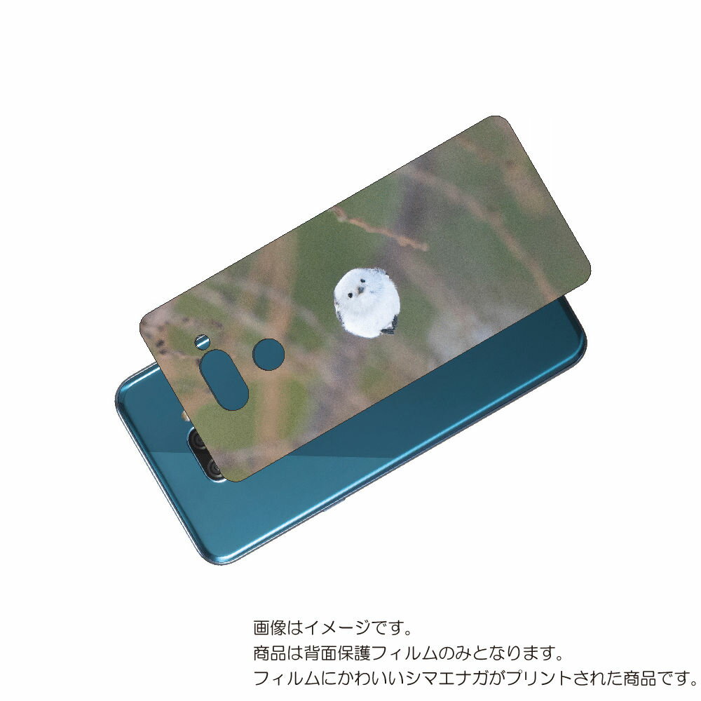 LG K50 ( 802LG ) 用 背面 保護 フィルム かわいい シマエナガ の プリント ( Photo by 小原玲 ) ★ エルジー ケー フィフティ...