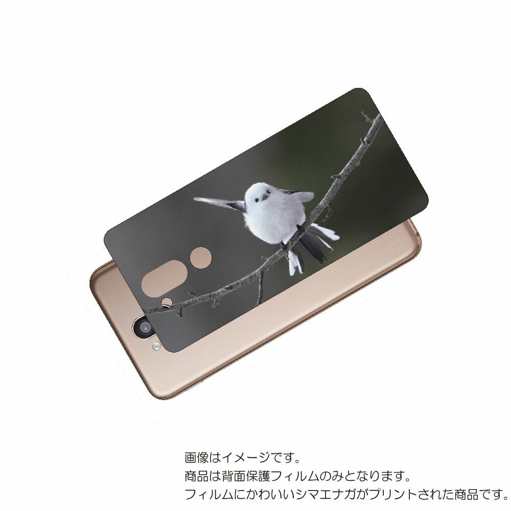 LG style2 L-01L 用 背面 保護 フィルム かわいい シマエナガ の プリント ( Photo by 小原玲 ) ★ エルジー スタイル ツー し...