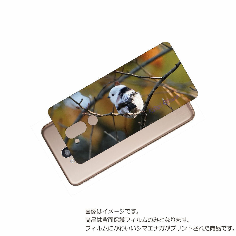 LG style2 L-01L 用 背面 保護 フィルム かわいい シマエナガ の プリント ( Photo by 小原玲 ) ★ エルジー スタイル ツー し...