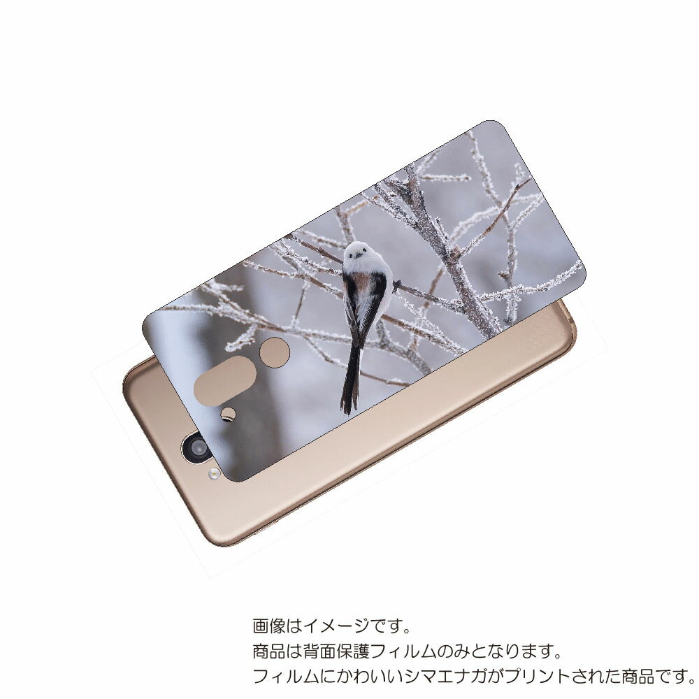 LG style2 L-01L 用 背面 保護 フィルム かわいい シマエナガ の プリント ( Photo by 小原玲 ) ★ エルジー スタイル ツー し...