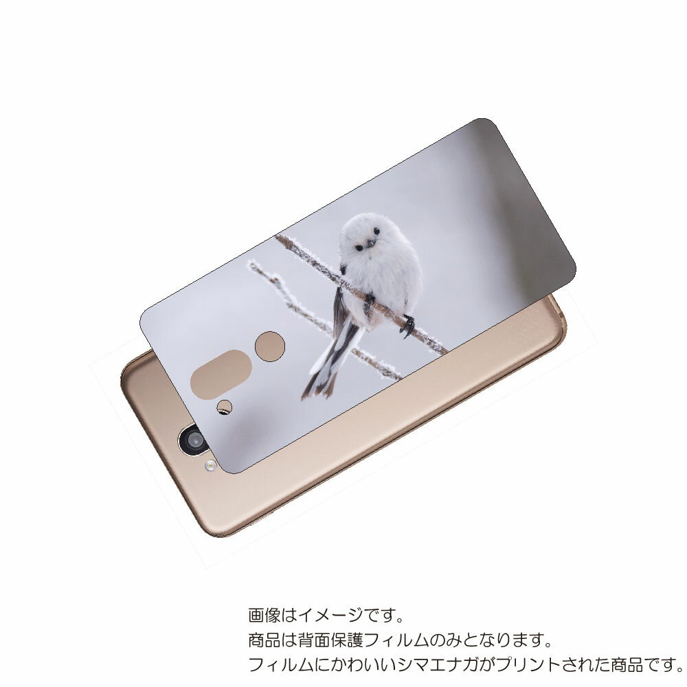 LG style2 L-01L 用 背面 保護 フィルム かわいい シマエナガ の プリント ( Photo by 小原玲 ) ★ エルジー スタイル ツー し...