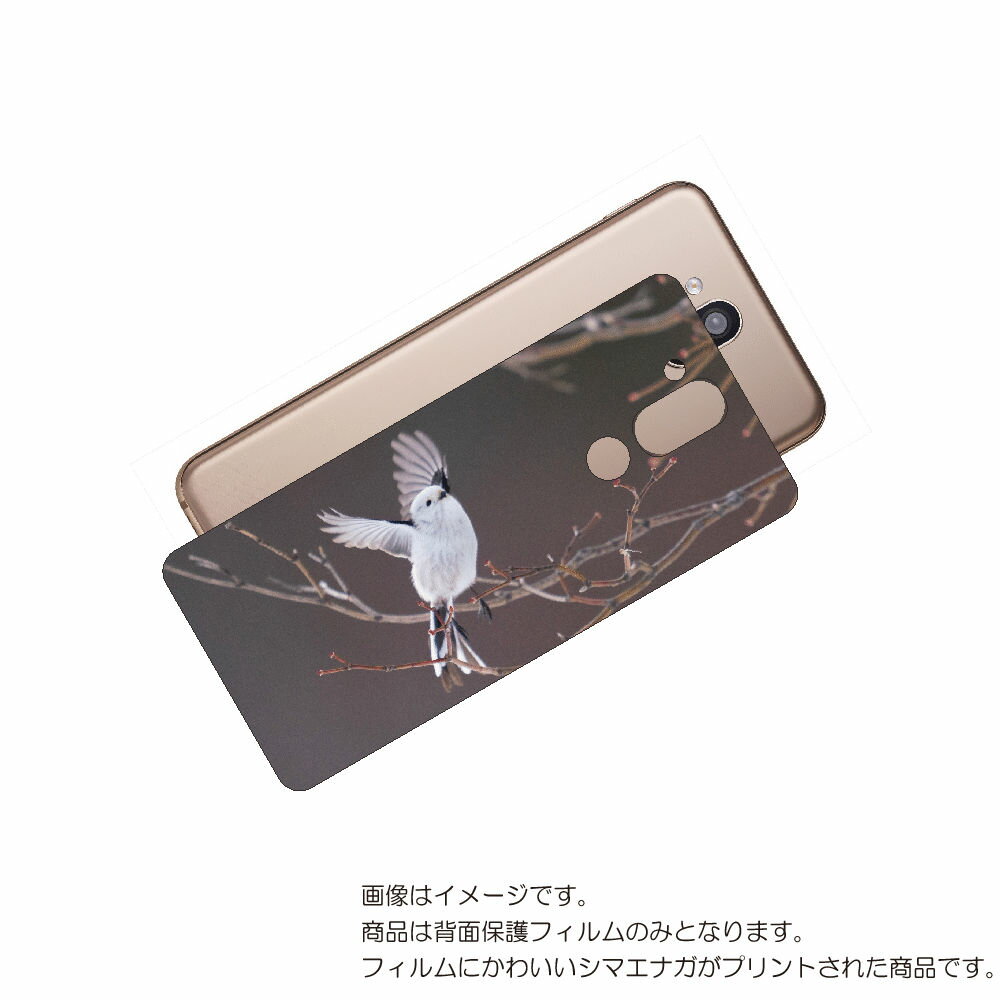 LG style2 L-01L 用 背面 保護 フィルム かわいい シマエナガ の プリント ( Photo by 小原玲 ) ★ エルジー スタイル ツー し...