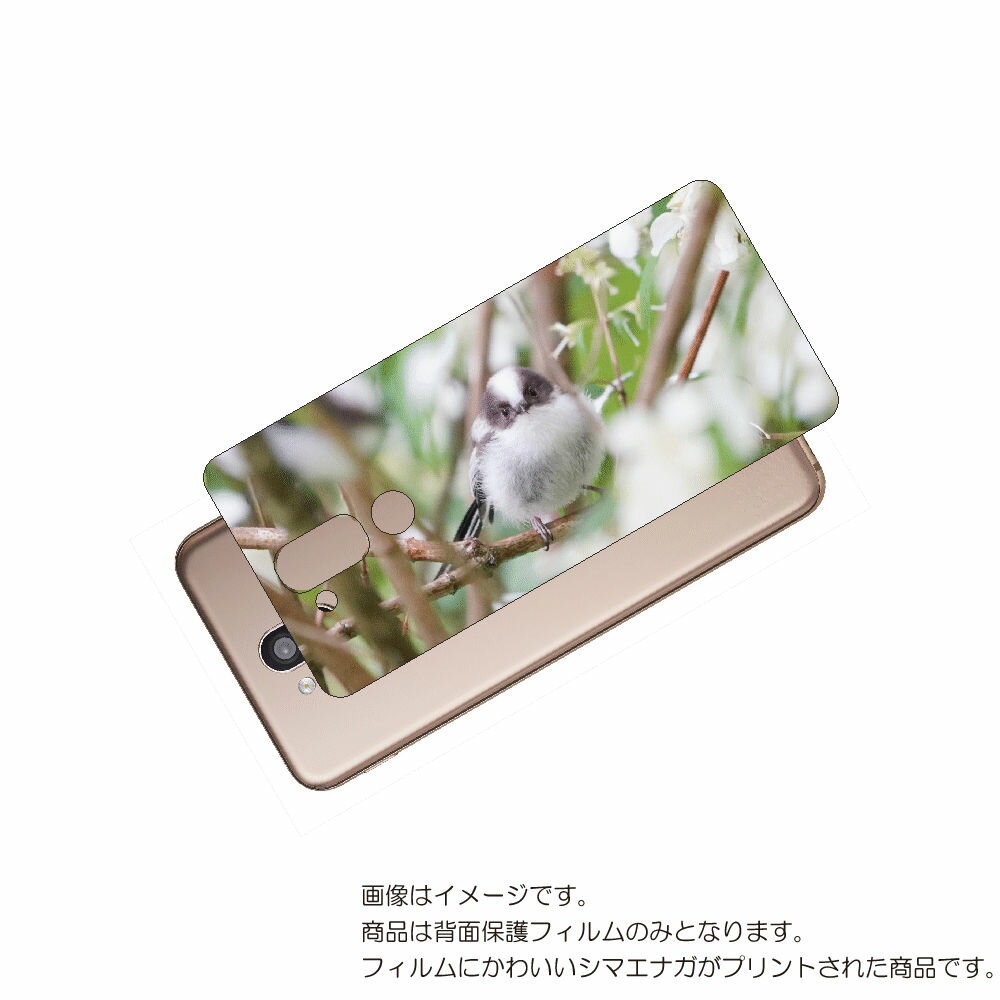 LG style2 L-01L 用 背面 保護 フィルム かわいい シマエナガ の プリント ( Photo by 小原玲 ) ★ エルジー スタイル ツー し...