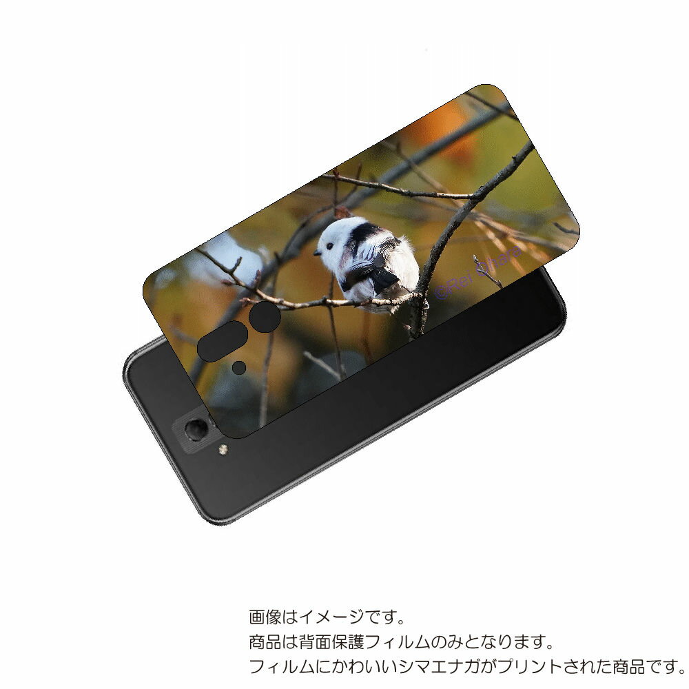 HUAWEI Mate 20 lite 用 背面 保護 フィルム かわいい シマエナガ の プリント ( Photo by 小原玲 ) ★ ファーウェイ メイト...