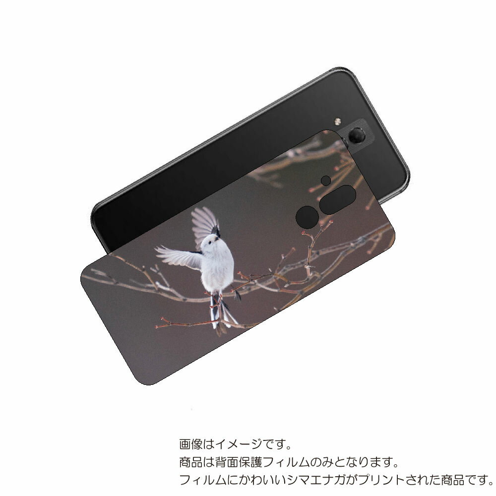 HUAWEI Mate 20 lite 用 背面 保護 フィルム かわいい シマエナガ の プリント ( Photo by 小原玲 ) ★ ファーウェイ メイト...