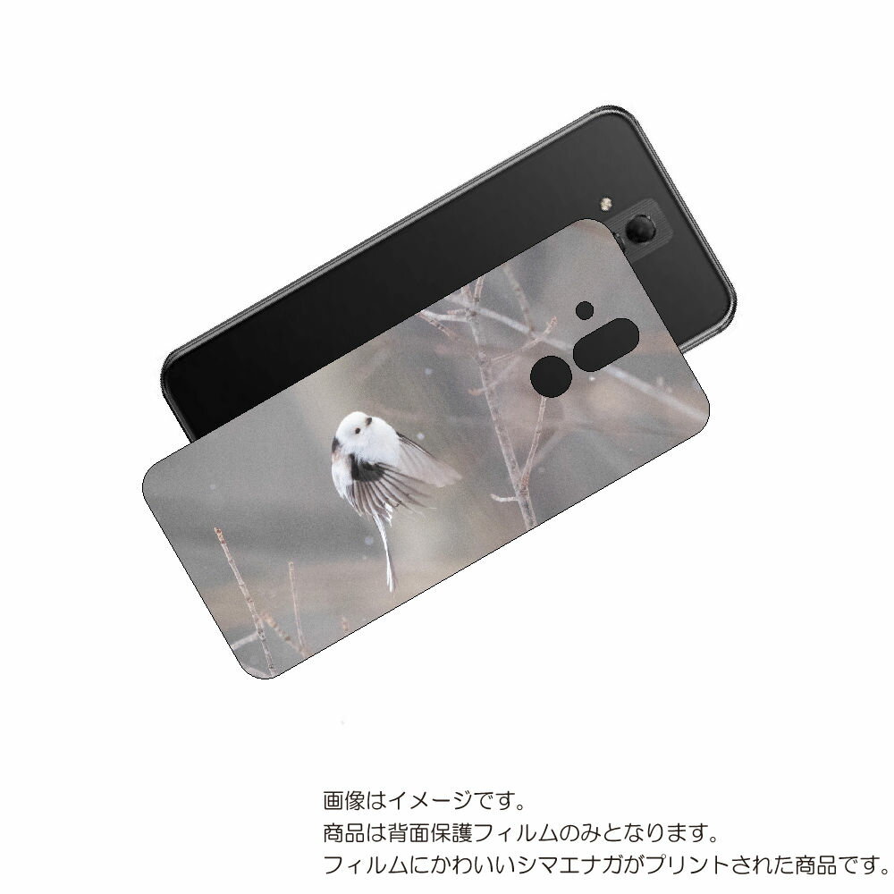HUAWEI Mate 20 lite 用 背面 保護 フィルム かわいい シマエナガ の プリント ( Photo by 小原玲 ) ★ ファーウェイ メイト...