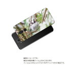 HUAWEI Mate 20 lite 用 背面 保護 フィルム かわいい シマエナガ の プリント ( Photo by 小原玲 ) ★ ファーウェイ メイト...