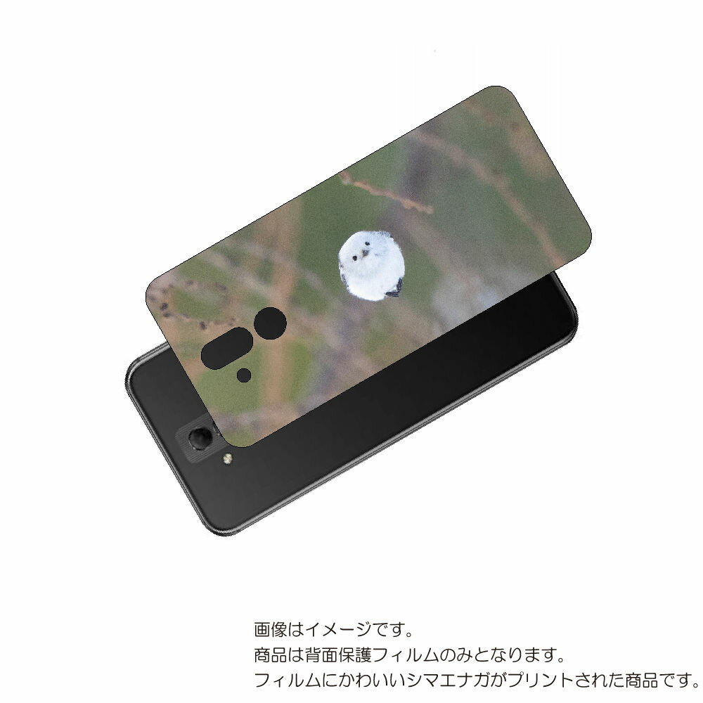 HUAWEI Mate 20 lite 用 背面 保護 フィルム かわいい シマエナガ の プリント ( Photo by 小原玲 ) ★ ファーウェイ メイト...