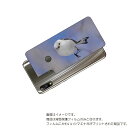 ASUS ZenFone Max Pro 用 背面 保護 フィルム かわいい シマエナガ の プリント ( Photo by 小原玲 ) ★ エイスース ゼンフ...