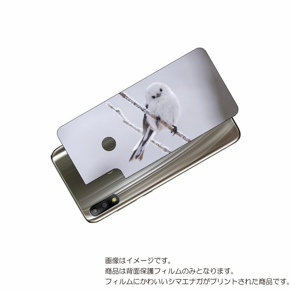 ASUS ZenFone Max Pro 用 背面 保護 フィルム かわいい シマエナガ の プリント ( Photo by 小原玲 ) ★ エイスース ゼンフ...