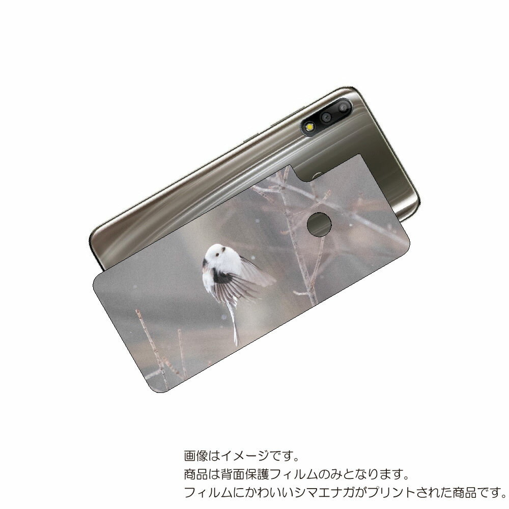 ASUS ZenFone Max Pro 用 背面 保護 フィルム かわいい シマエナガ の プリント ( Photo by 小原玲 ) ★ エイスース ゼンフ...