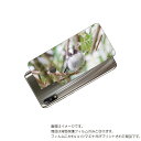 ASUS ZenFone Max Pro 用 背面 保護 フィルム かわいい シマエナガ の プリント ( Photo by 小原玲 ) ★ エイスース ゼンフ...