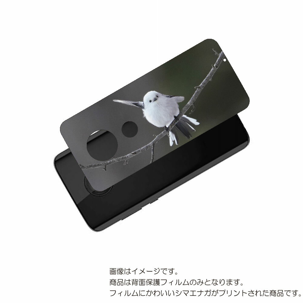 MOTOROLA moto g7 用 背面 保護 フィルム かわいい シマエナガ の プリント ( Photo by 小原玲 ) ★ モトローラ モト ジーセブ...