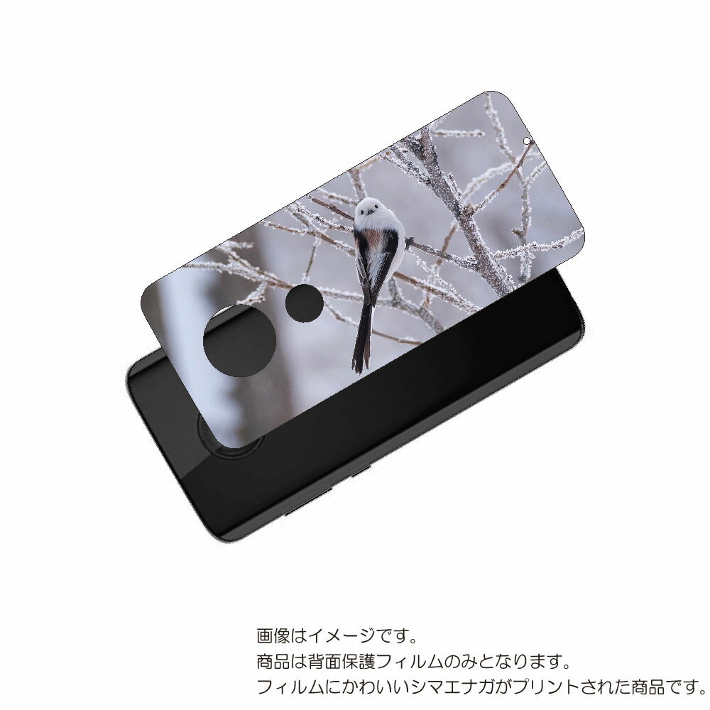 MOTOROLA moto g7 用 背面 保護 フィルム かわいい シマエナガ の プリント ( Photo by 小原玲 ) ★ モトローラ モト ジーセブ...