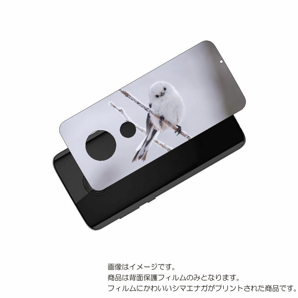 MOTOROLA moto g7 用 背面 保護 フィルム かわいい シマエナガ の プリント ( Photo by 小原玲 ) ★ モトローラ モト ジーセブ...