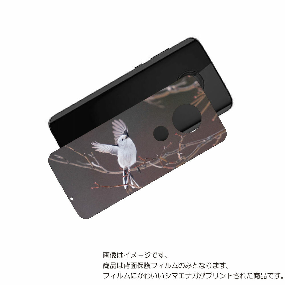 MOTOROLA moto g7 用 背面 保護 フィルム かわいい シマエナガ の プリント ( Photo by 小原玲 ) ★ モトローラ モト ジーセブ...