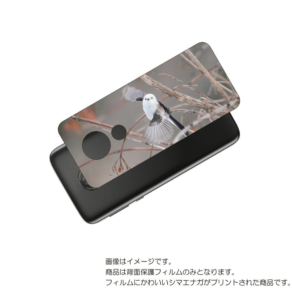 MOTOROLA moto g7 power 用 背面 保護 フィルム かわいい シマエナガ の プリント ( Photo by 小原玲 ) ★ モトローラ モ...