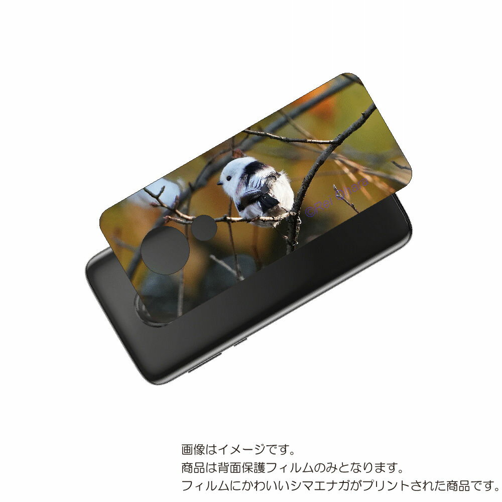 MOTOROLA moto g7 power 用 背面 保護 フィルム かわいい シマエナガ の プリント ( Photo by 小原玲 ) ★ モトローラ モ...