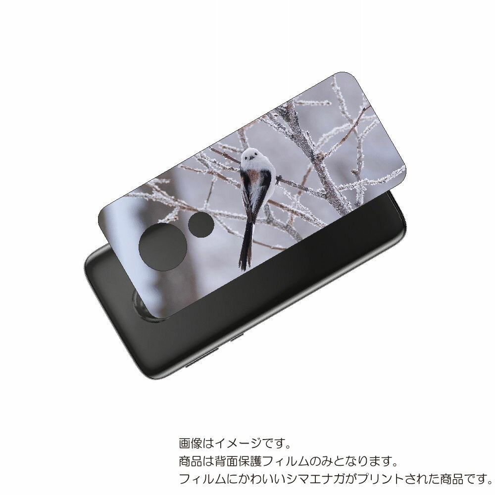MOTOROLA moto g7 power 用 背面 保護 フィルム かわいい シマエナガ の プリント ( Photo by 小原玲 ) ★ モトローラ モ...