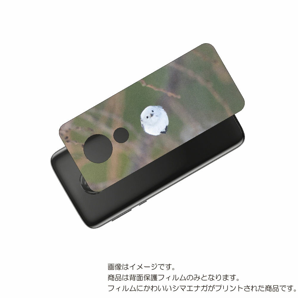 MOTOROLA moto g7 power 用 背面 保護 フィルム かわいい シマエナガ の プリント ( Photo by 小原玲 ) ★ モトローラ モ...