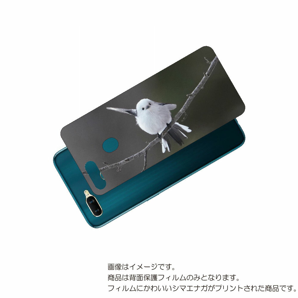 OPPO AX7 用 背面 保護 フィルム かわいい シマエナガ の プリント ( Photo by 小原玲 ) ★ オッポ エーエックス セブン しまえなが