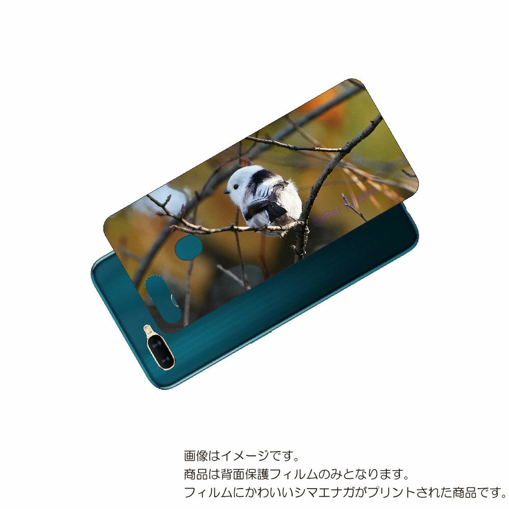 OPPO AX7 用 背面 保護 フィルム かわいい シマエナガ の プリント ( Photo by 小原玲 ) ★ オッポ エーエックス セブン しまえなが