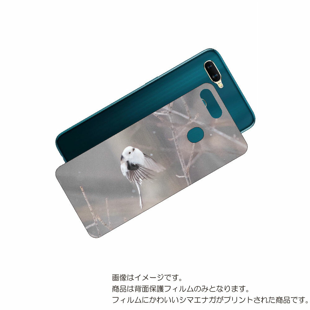 OPPO AX7 用 背面 保護 フィルム かわいい シマエナガ の プリント ( Photo by 小原玲 ) ★ オッポ エーエックス セブン しまえなが