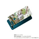 OPPO AX7 用 背面 保護 フィルム かわいい シマエナガ の プリント ( Photo by 小原玲 ) ★ オッポ エーエックス セブン しまえなが