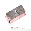 OPPO R15 Neo 用 背面 保護 フィルム かわいい シマエナガ の プリント ( Photo by 小原玲 ) ★ オッポ アール フィフティーン ネ...