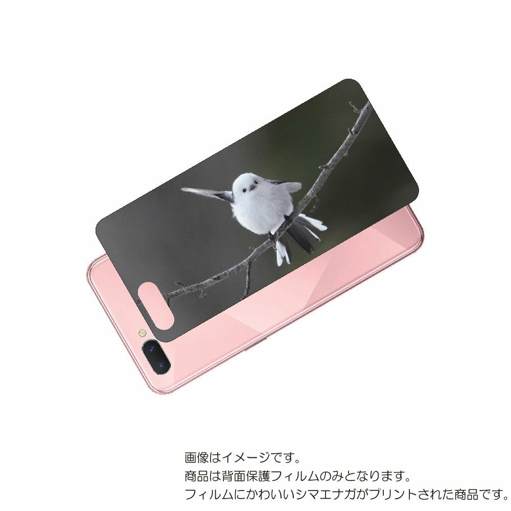 OPPO R15 Neo 用 背面 保護 フィルム かわいい シマエナガ の プリント ( Photo by 小原玲 ) ★ オッポ アール フィフティーン ネ...