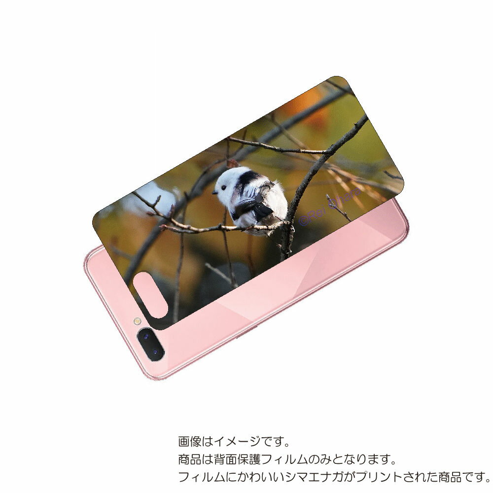 OPPO R15 Neo 用 背面 保護 フィルム かわいい シマエナガ の プリント ( Photo by 小原玲 ) ★ オッポ アール フィフティーン ネ...