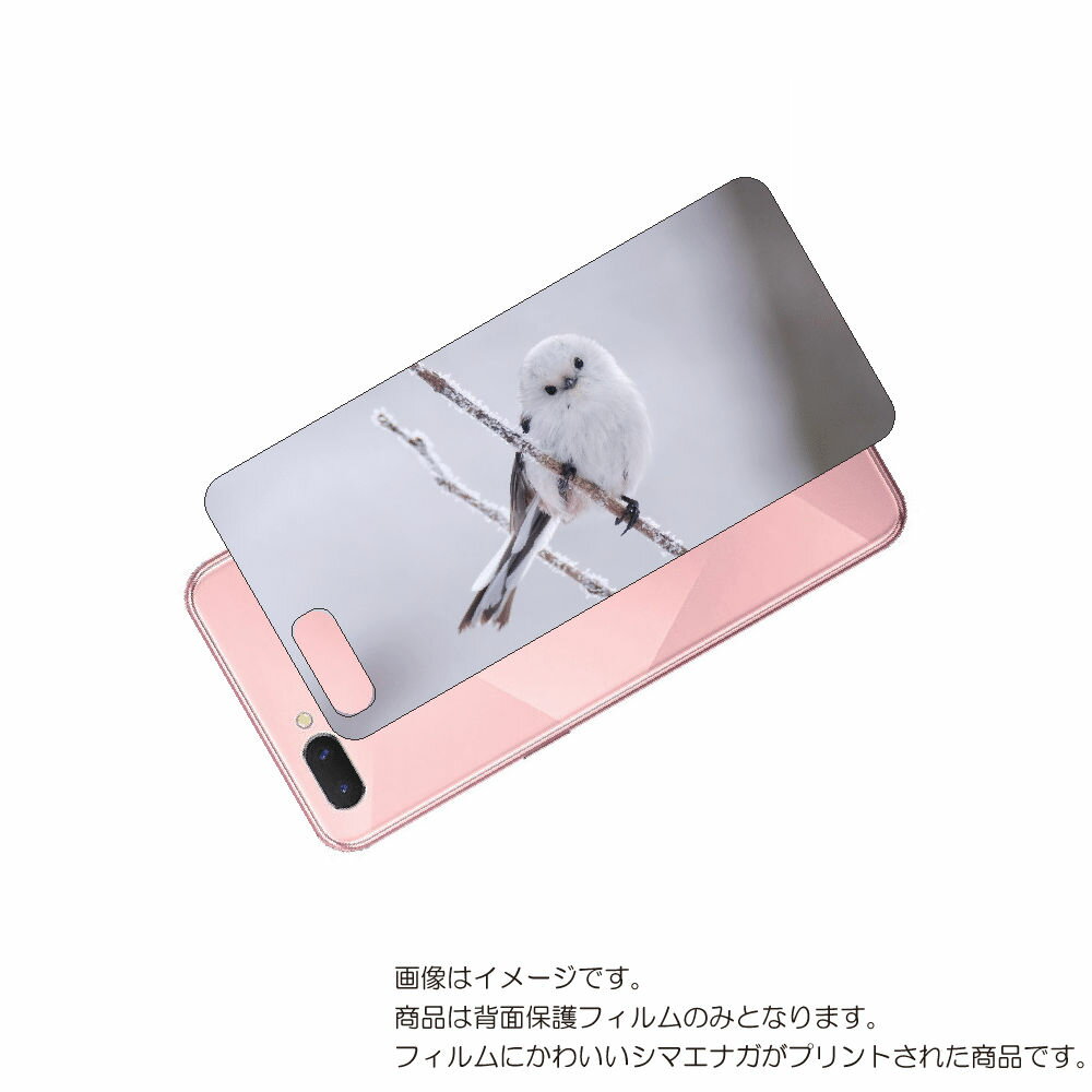 OPPO R15 Neo   ݸ ե 襤 ޥʥ  ץ ( Photo by  )  å  եեƥ ...