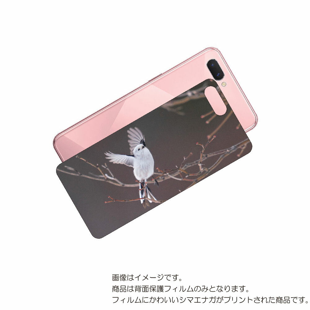 OPPO R15 Neo 用 背面 保護 フィルム かわいい シマエナガ の プリント ( Photo by 小原玲 ) ★ オッポ アール フィフティーン ネ...
