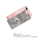 OPPO R15 Neo 用 背面 保護 フィルム かわいい シマエナガ の プリント ( Photo by 小原玲 ) ★ オッポ アール フィフティーン ネ...
