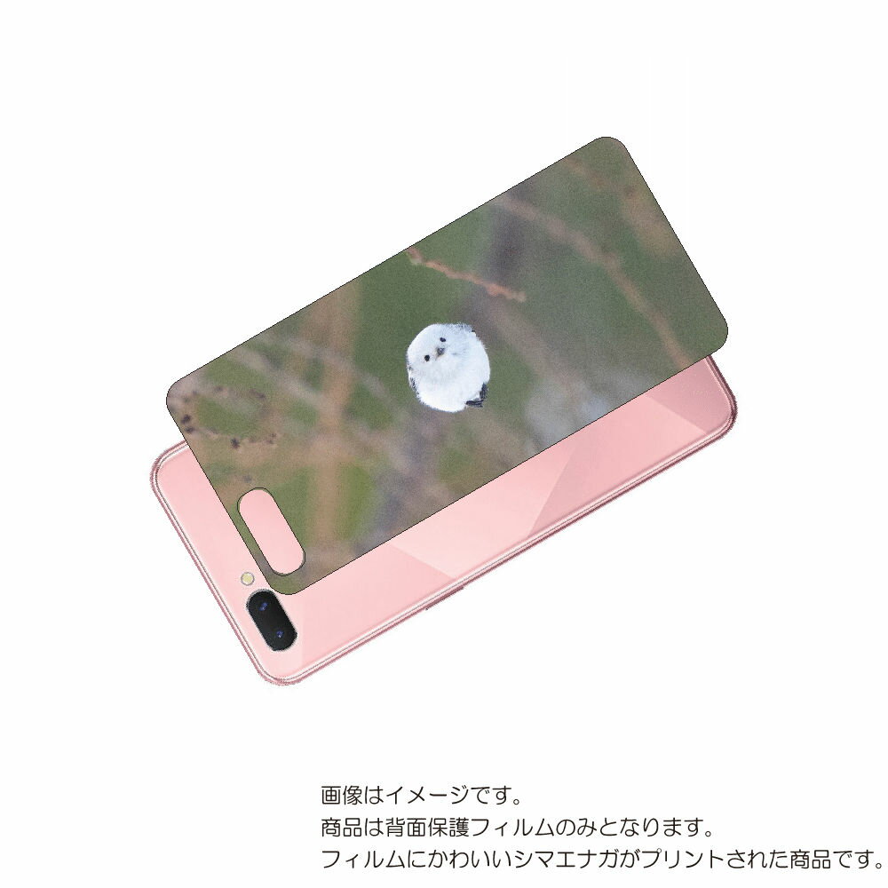 OPPO R15 Neo 用 背面 保護 フィルム かわいい シマエナガ の プリント ( Photo by 小原玲 ) ★ オッポ アール フィフティーン ネ...