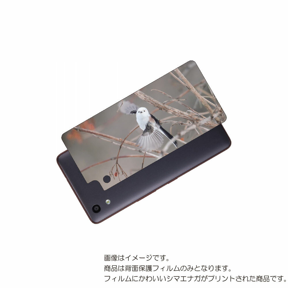 京セラ おてがるスマホ01 用 背面 保護 フィルム かわいい シマエナガ の プリント ( Photo by 小原玲 ) ★ キョウセラ KYOSERA オテ...