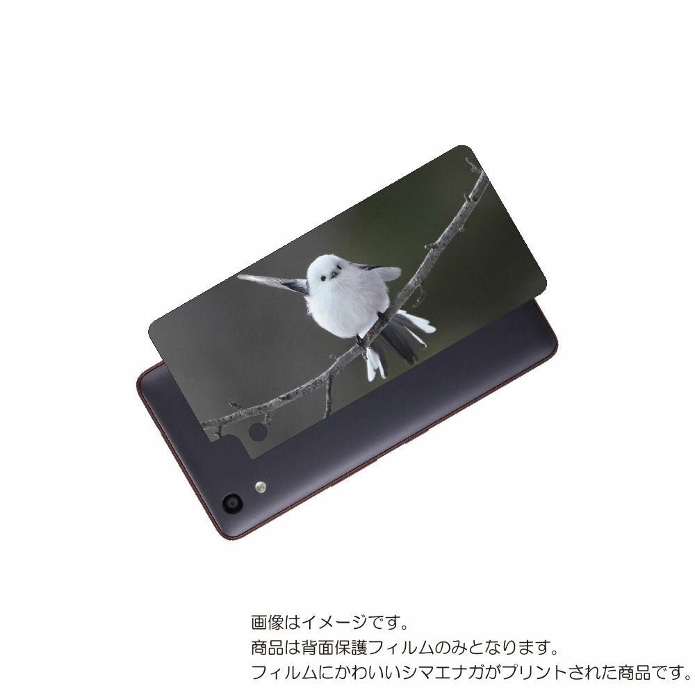 京セラ おてがるスマホ01 用 背面 保護 フィルム かわいい シマエナガ の プリント ( Photo by 小原玲 ) ★ キョウセラ KYOSERA オテ...