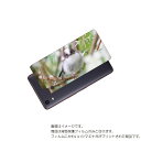 京セラ おてがるスマホ01 用 背面 保護 フィルム かわいい シマエナガ の プリント ( Photo by 小原玲 ) ★ キョウセラ KYOSERA オテガル しまえなが