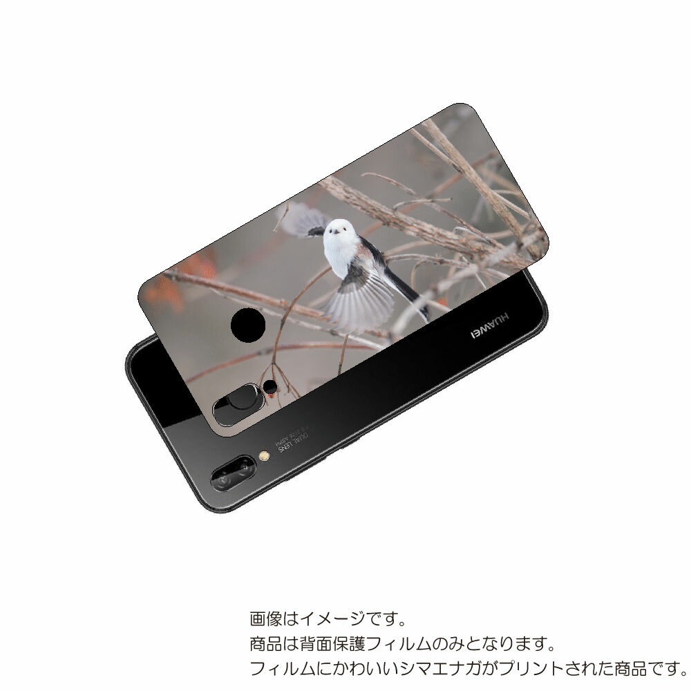 HUAWEI P20 lite 用 背面 保護 フィルム かわいい シマエナガ の プリント ( Photo by 小原玲 ) ★ ファーウェイ ピー トゥエン...