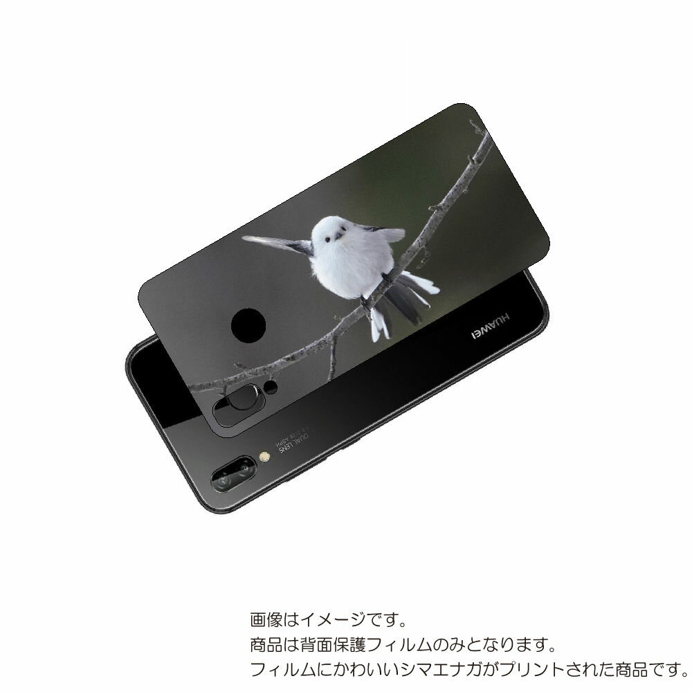 HUAWEI P20 lite 用 背面 保護 フィルム かわいい シマエナガ の プリント ( Photo by 小原玲 ) ★ ファーウェイ ピー トゥエン...