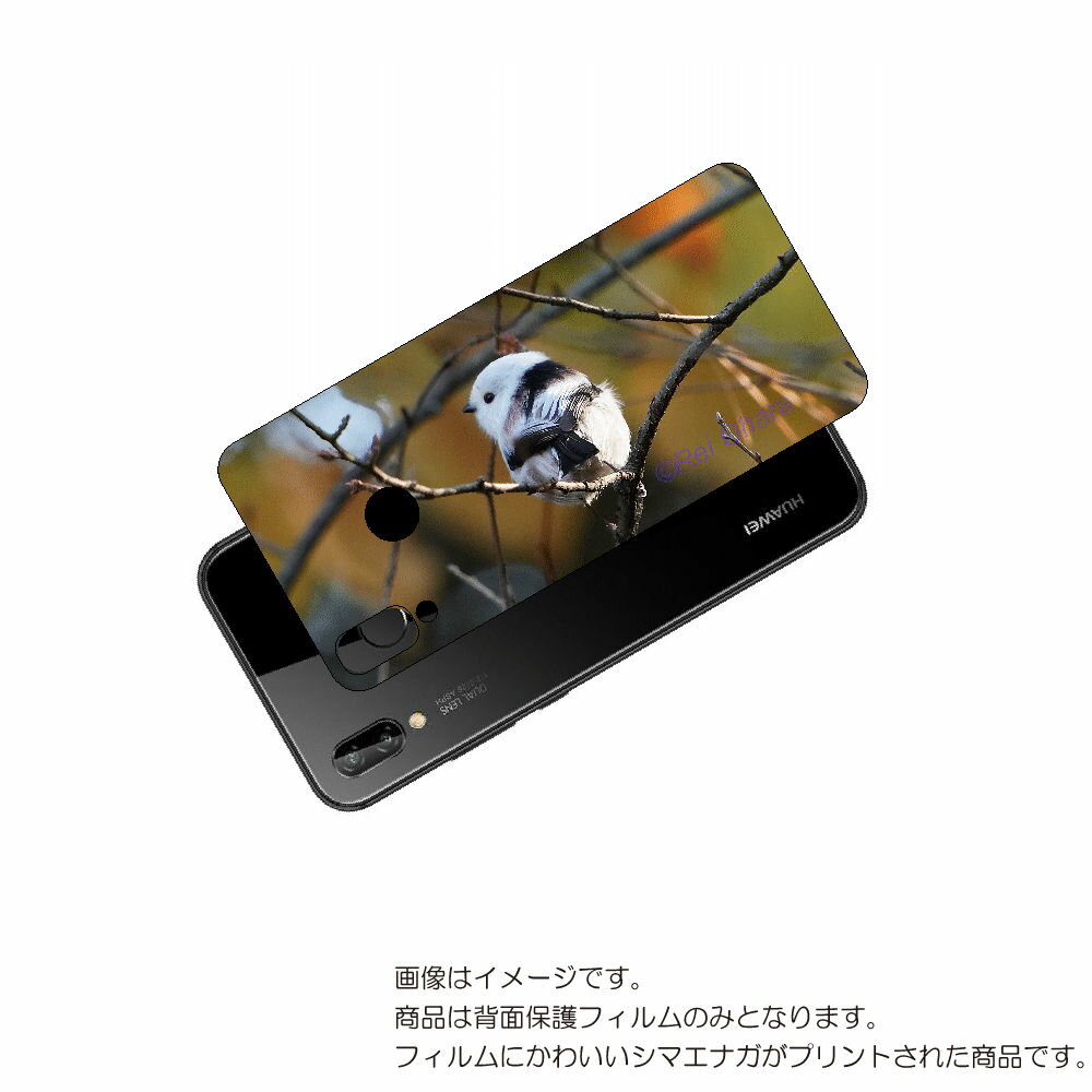 HUAWEI P20 lite 用 背面 保護 フィルム かわいい シマエナガ の プリント ( Photo by 小原玲 ) ★ ファーウェイ ピー トゥエン...